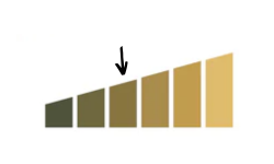 05c9268cc95ce3977aaf44ff4acee735.png