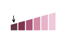 7d6ba3c1b30737e5d62edc2920686b13.png