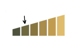 64e2a1e93e3125a12d176e52694c6801.png