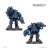 5fcc17ef7688529eec7e743a572b6b16.png