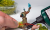 aeb7decf9c50bb215b77edd793251220.png