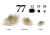 c5889efabfbb9c012b77617b3fcbbe51.png