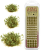 63b67c9803da40d24f34a064e01b5555.png
