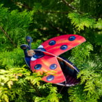 EKOPUZZLE 3D PRZESTRZENNE TEKTURYNKI OWADY I PAJĄKI MUDUKO