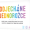 STRATEGICZNA GRA KARCIANA ODJECHANE JEDNOROŻCE (DRUGA EDYCJA) REBEL